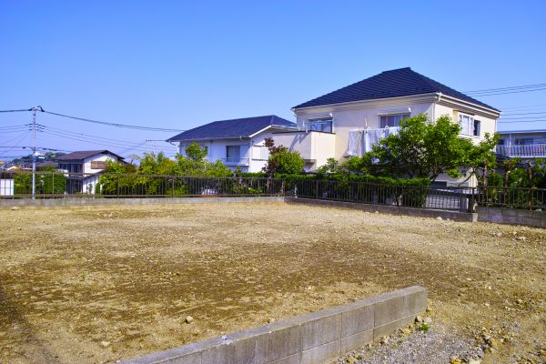 Cost of Lot Clearing Service in Visalia