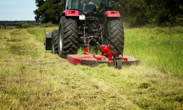 Brush Clearing Service in Visalia
