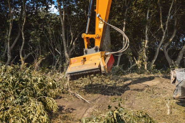 Brush Removal Service in Visalia