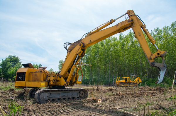 Cost of Farm Clearing in Visalia