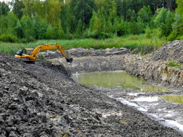 Cost of Lake Lot Clearing in Visalia