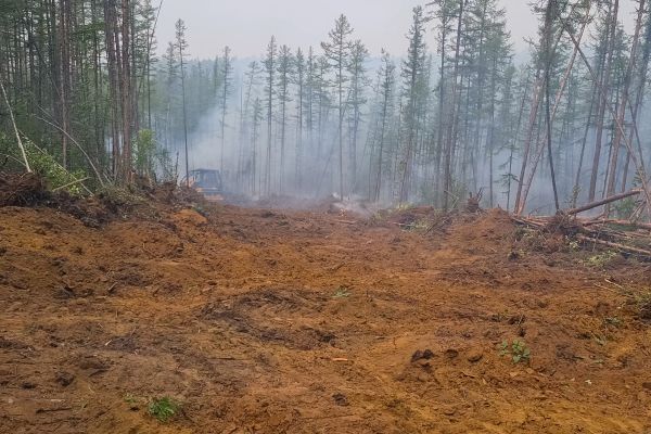 Cost of Hill Clearing in Visalia