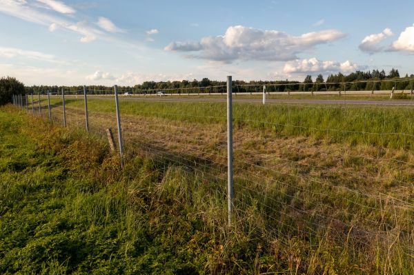 Cost of Property Line Clearing in Visalia