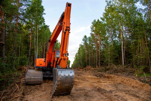 Cost of Backhoe Land Clearing in Visalia