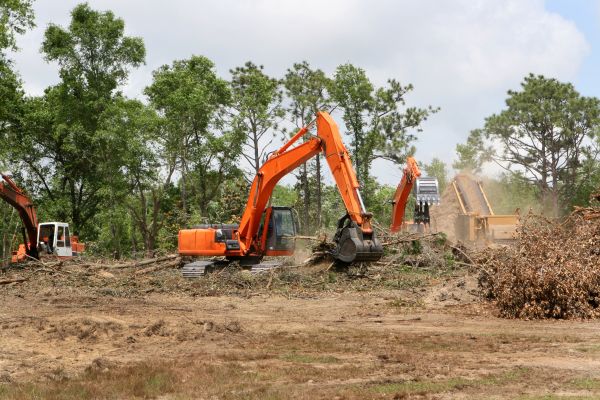 Cost of Commercial Lot Clearing in Visalia