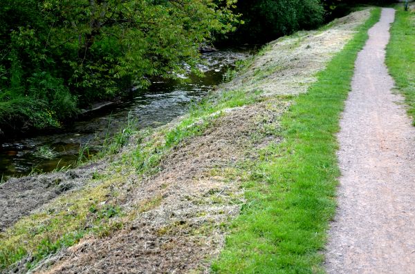 Cost of Trail Cutting in Visalia