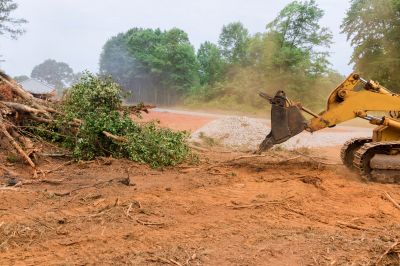 Heavy Equipment Land Clearing