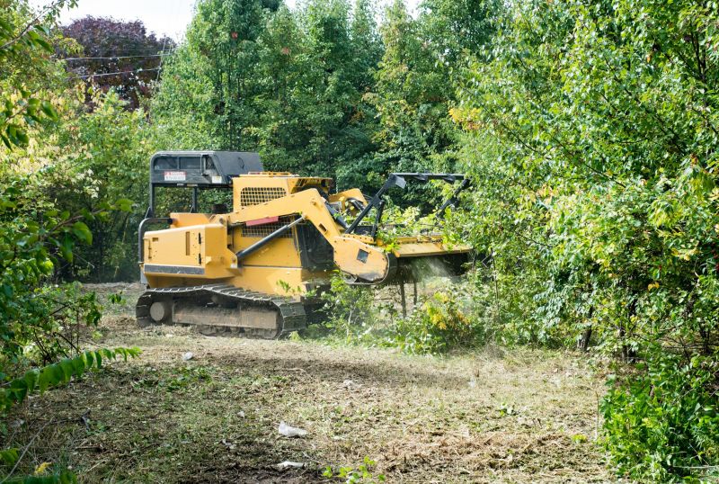 Tree and Brush Removal Equipment