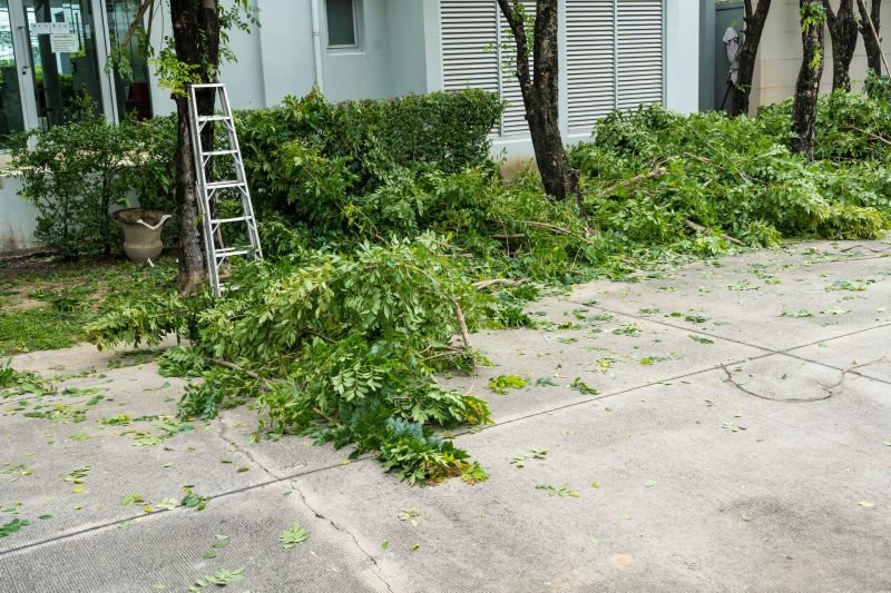 Vegetation Removal Process